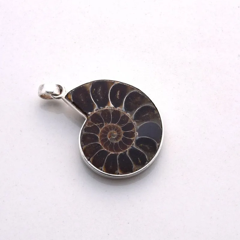 Ammonite Pendant locket