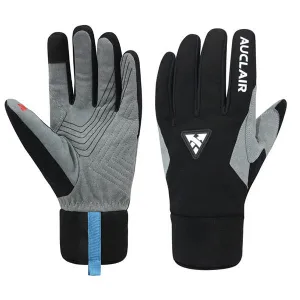 Auclair Stellar Glove (men's)