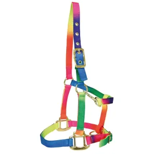 Bambino Nylon Rainbow Halter (BAM2000)