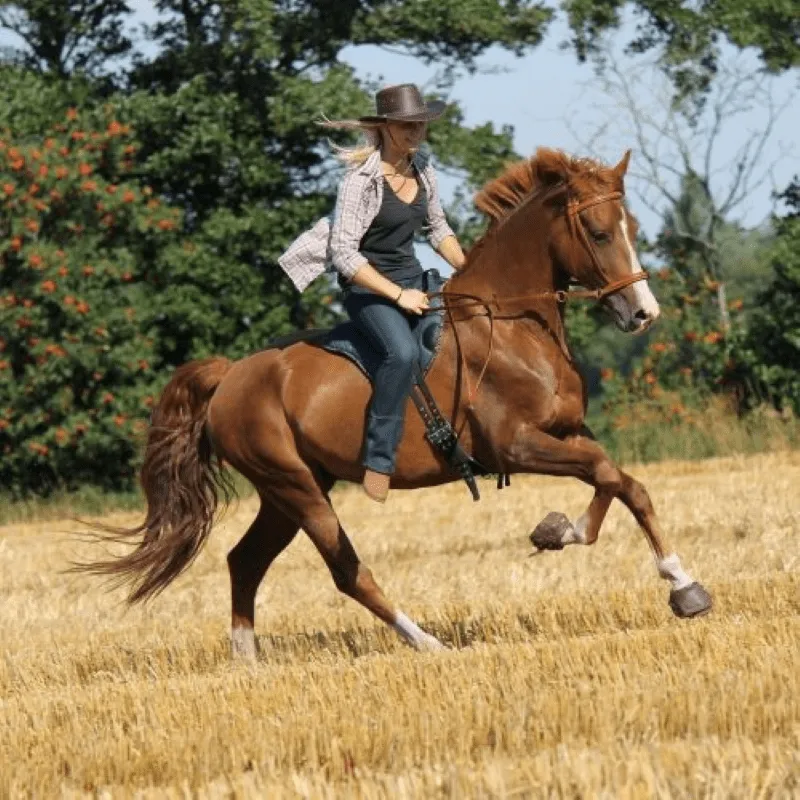 Cavallo Simple Hoof Boots Regular Sole