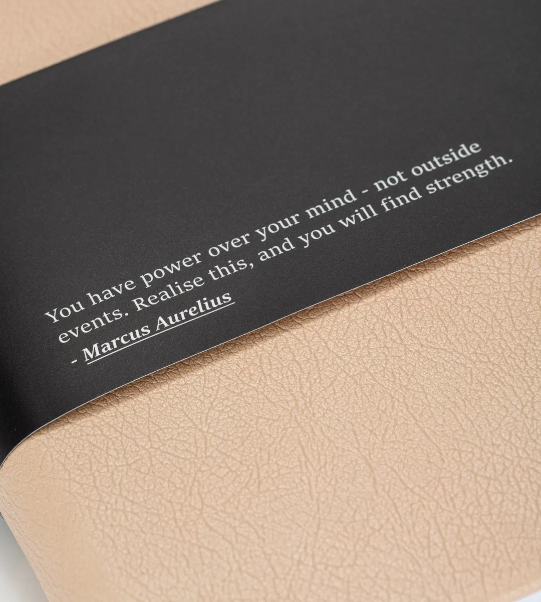 Deluxe Workout Journal - Bone