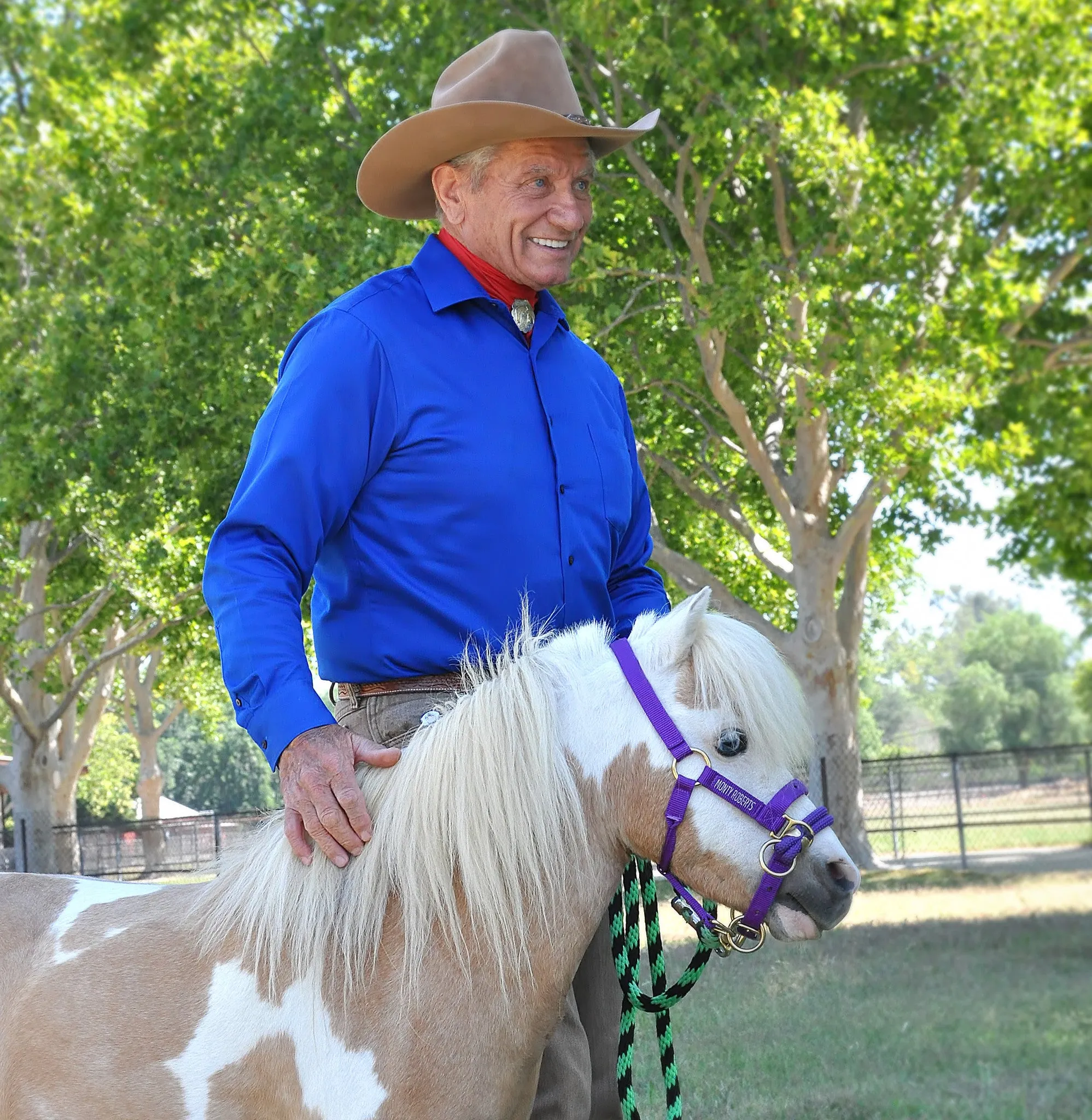 DUALLY TRAINING HALTER PURPLE MINIATURE (WITH DVD)