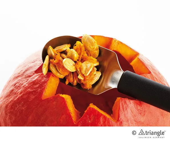 Fruit spoon -7282060