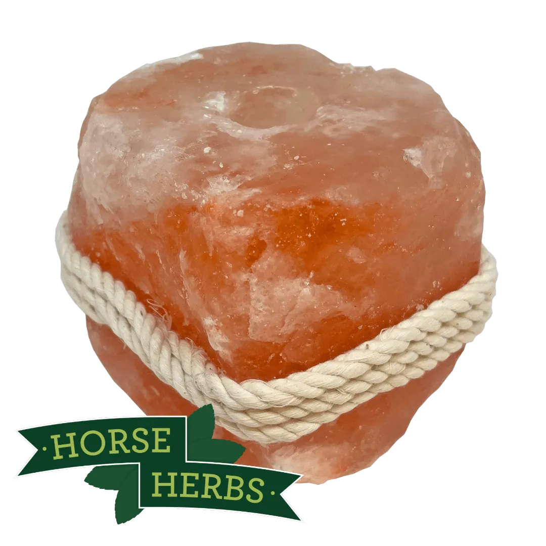 Himalayan Salt Licks