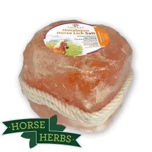 Himalayan Salt Licks