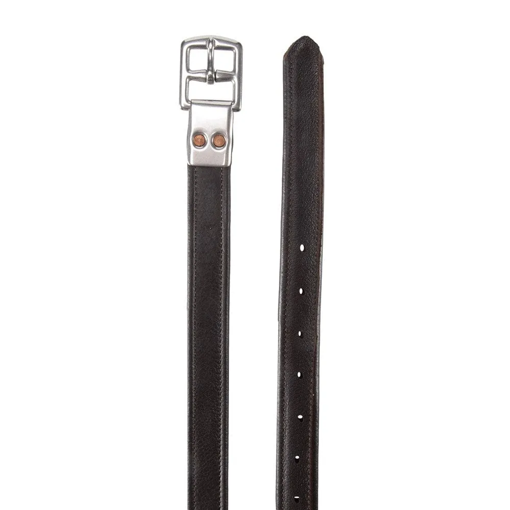 Jeremy & Lord Calfskin Stirrup Leathers (STR6405)