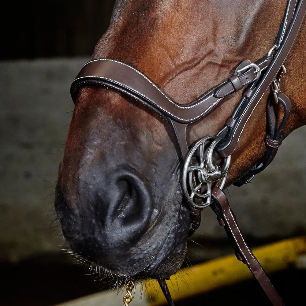 John Whitaker Chicago Perforated Anatomic Bridle (inc. 9-Loop Rubber Reins)