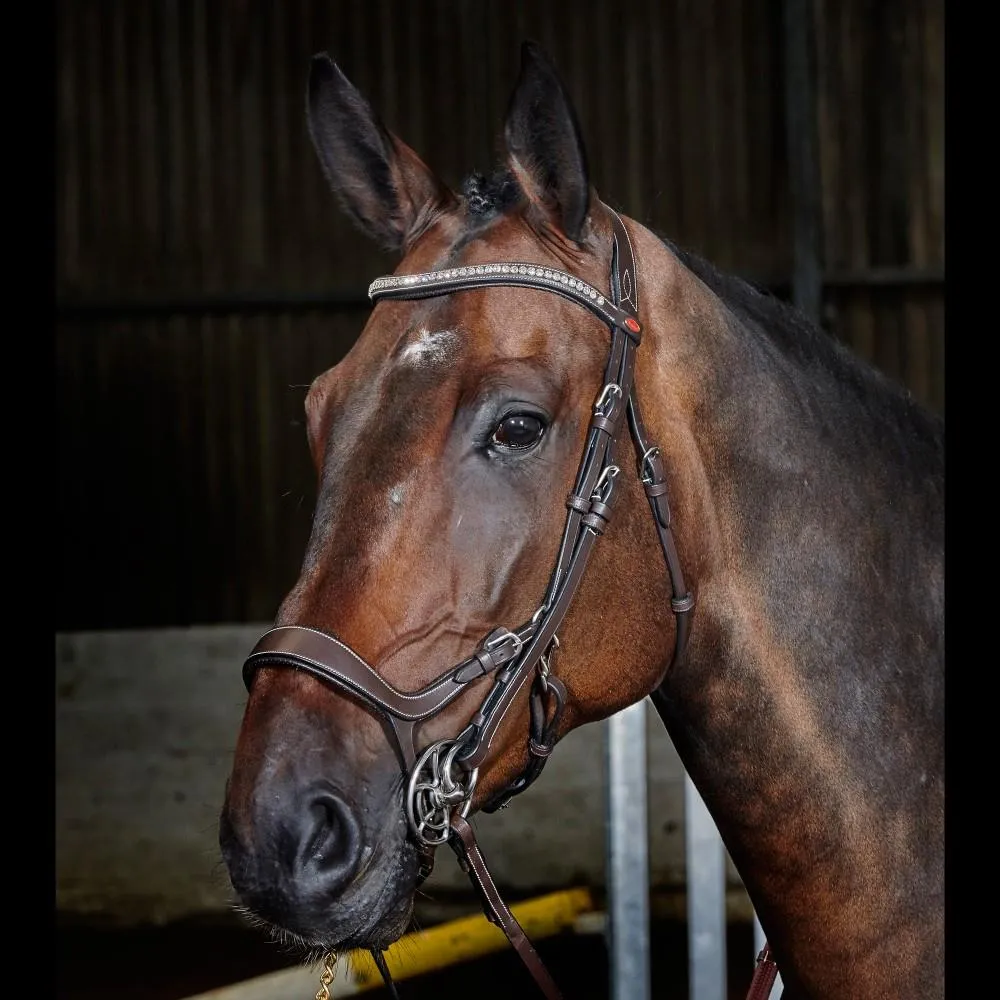 John Whitaker Chicago Perforated Anatomic Bridle (inc. 9-Loop Rubber Reins)