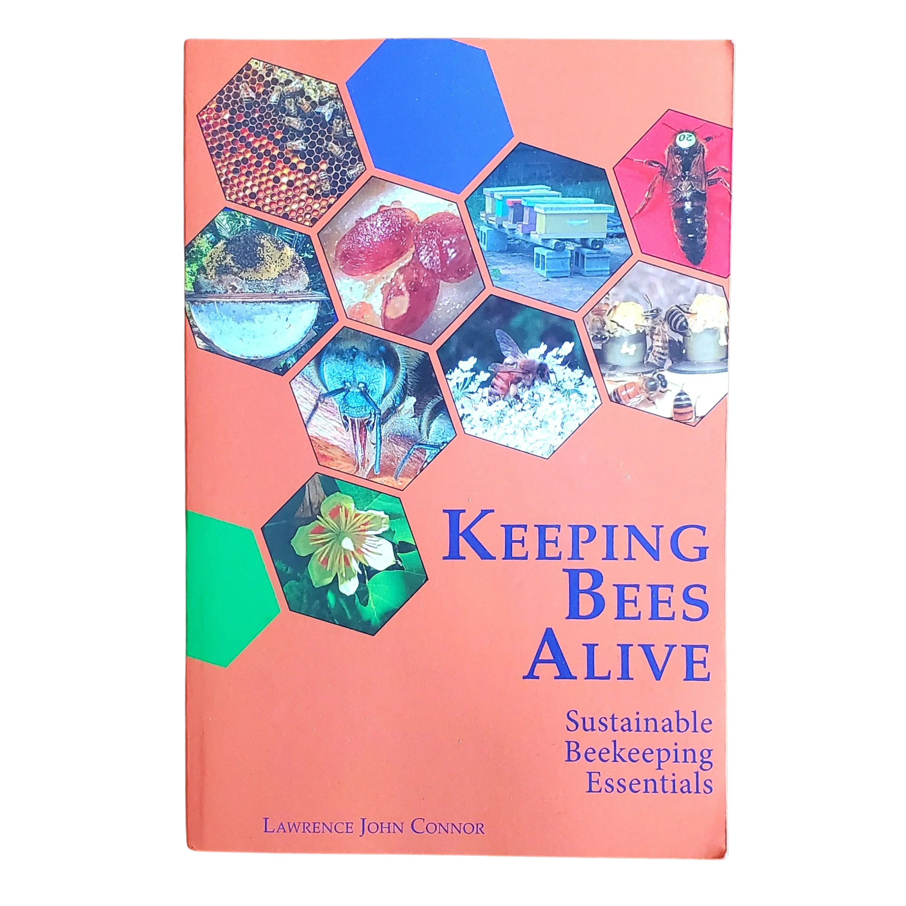 Keeping Bees Alive Book