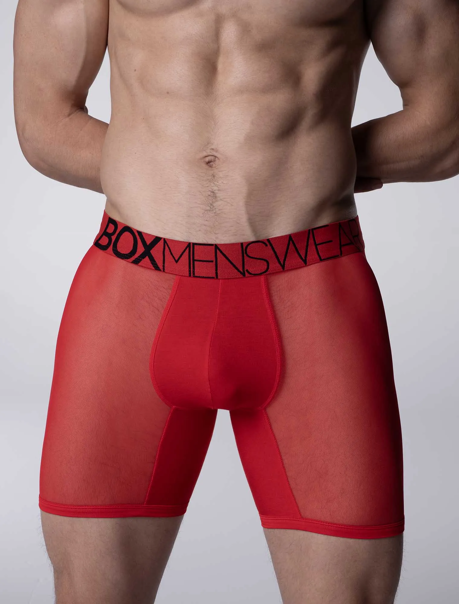 King Fit Mesh Panel - Transparent Crotch: Direct Red