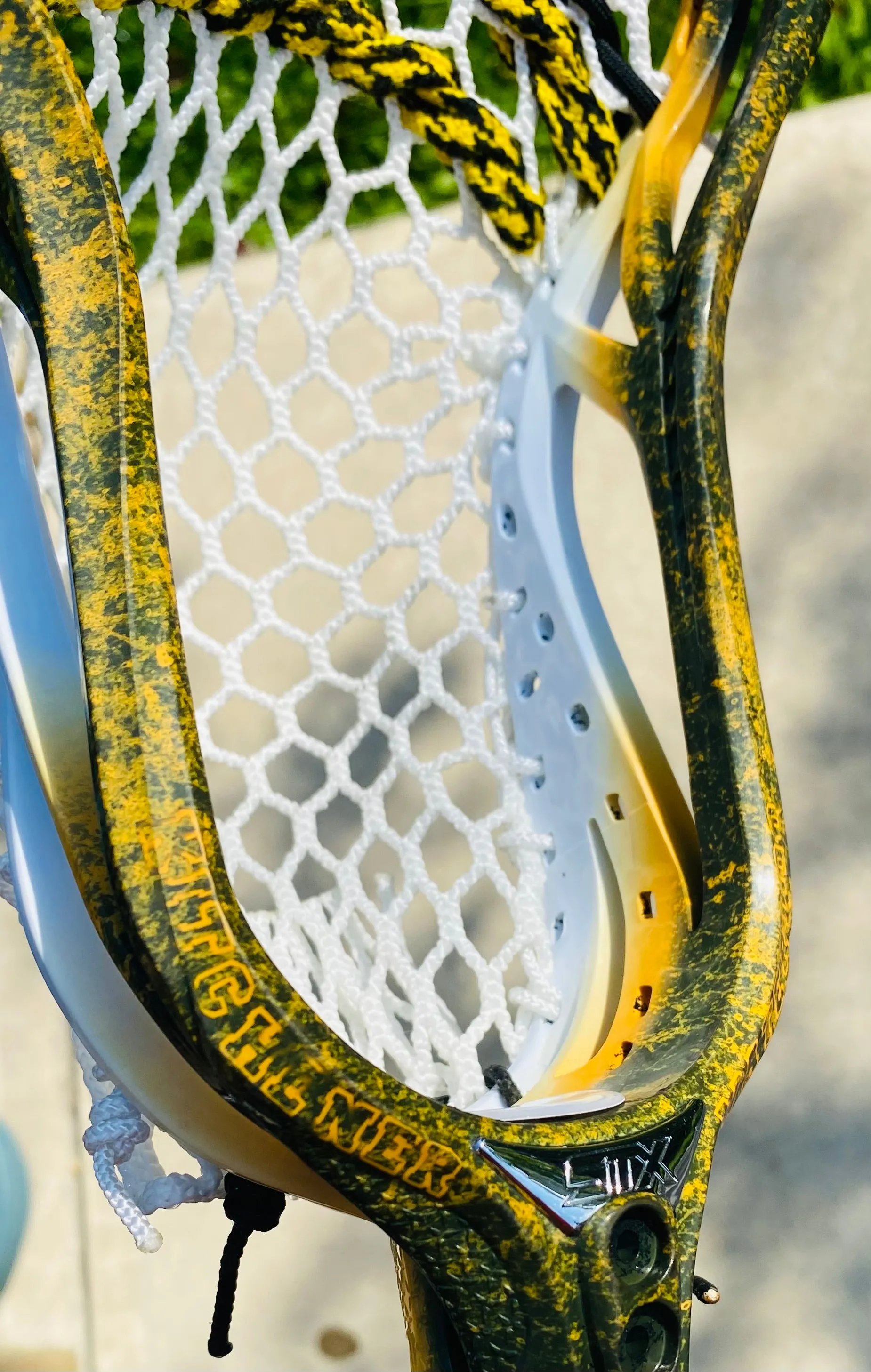 Lacrosse Head Kodiaks Series #5 "Doctor's Orders"