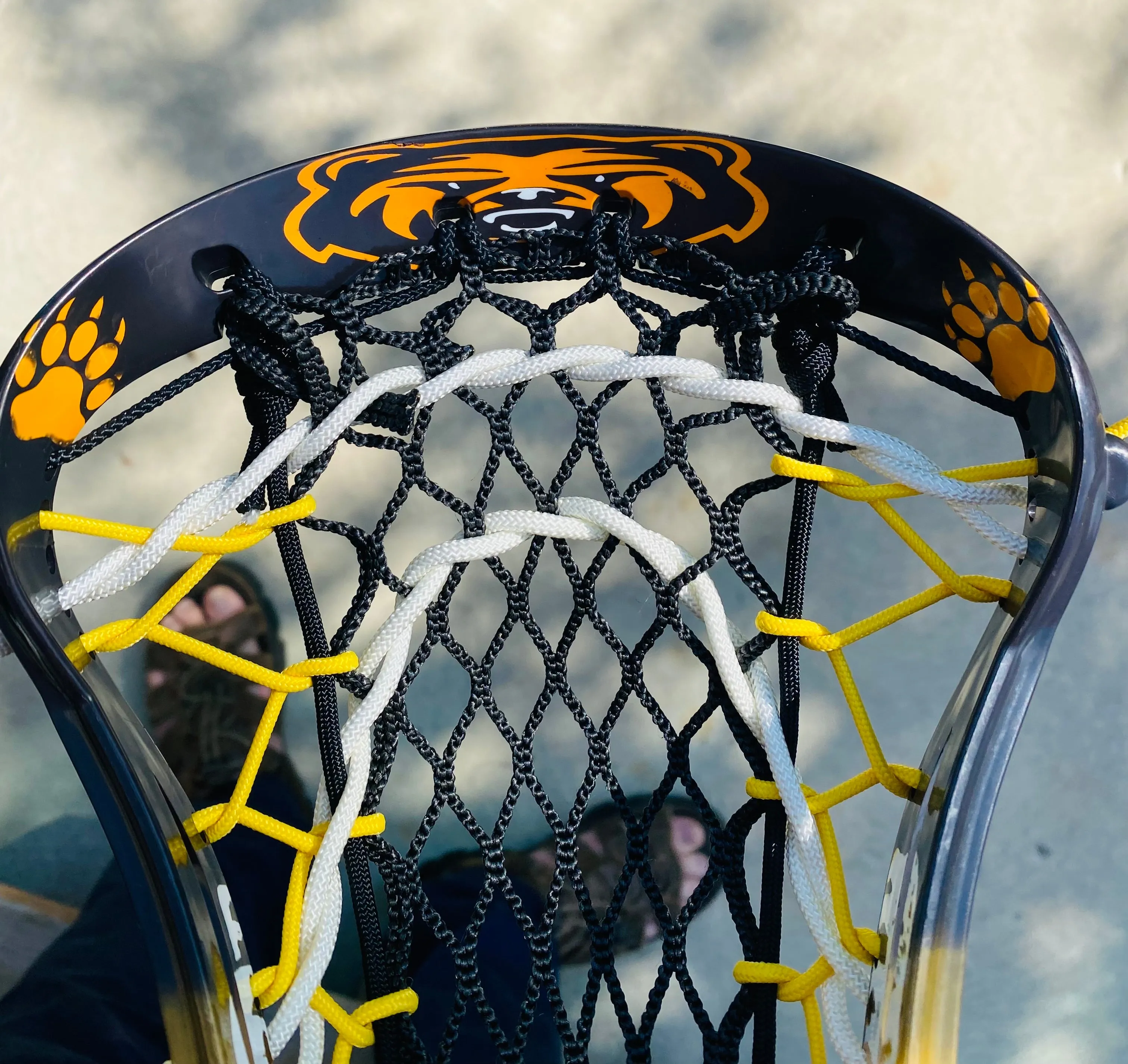 Lacrosse Stick Kodiaks Series #2 "Mama Bear's Watching"
