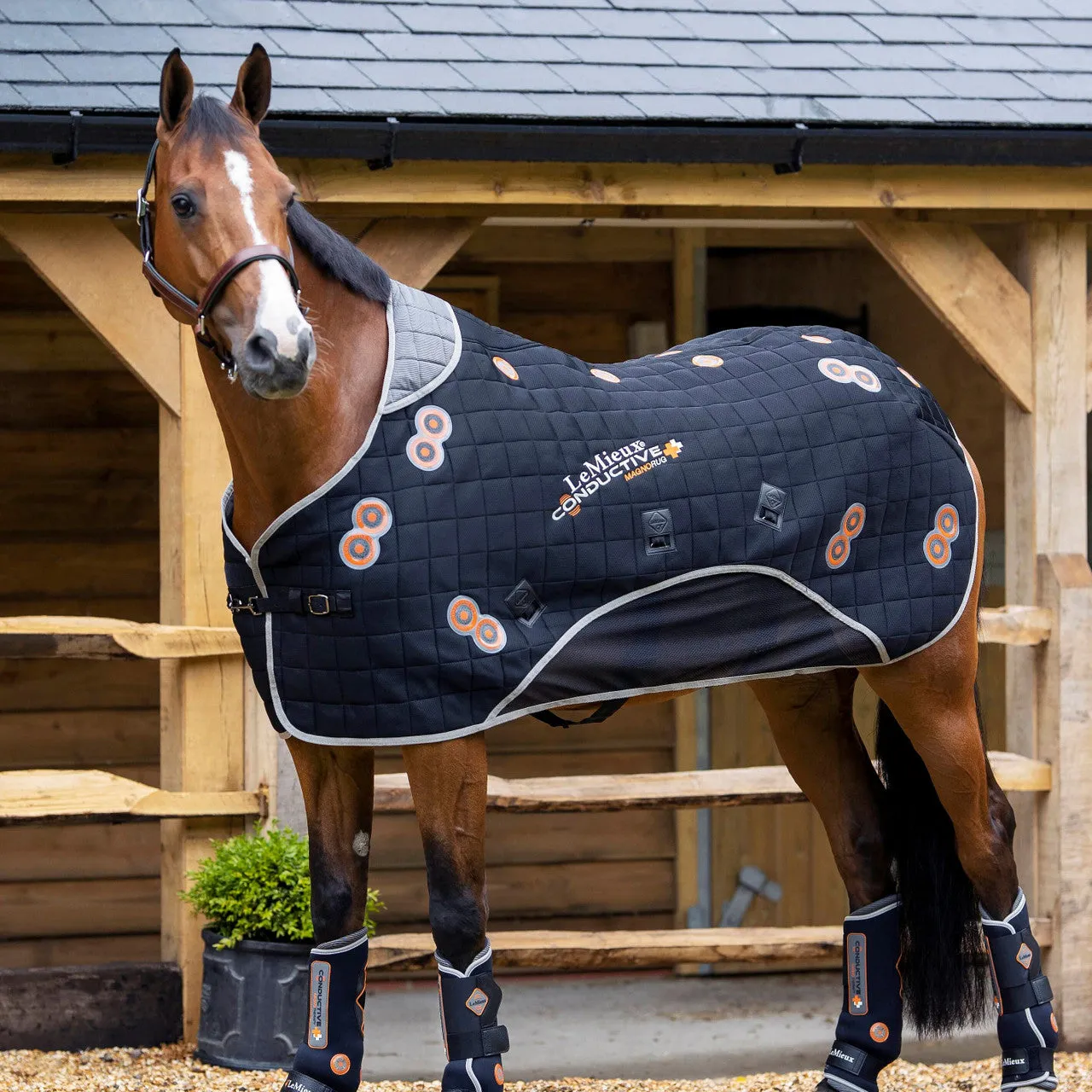 LeMieux Conductive Magno Blanket