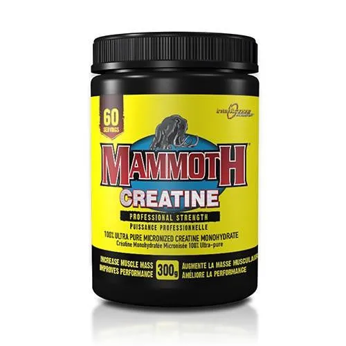 Mammoth Creatine 300g
