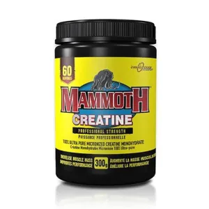 Mammoth Creatine 300g