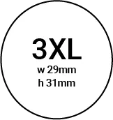 Old Colony Lacrosse 2023 Championship Ring - Design 3.1