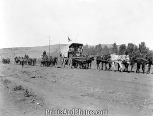 Old West Red Cross Ambulance  4761