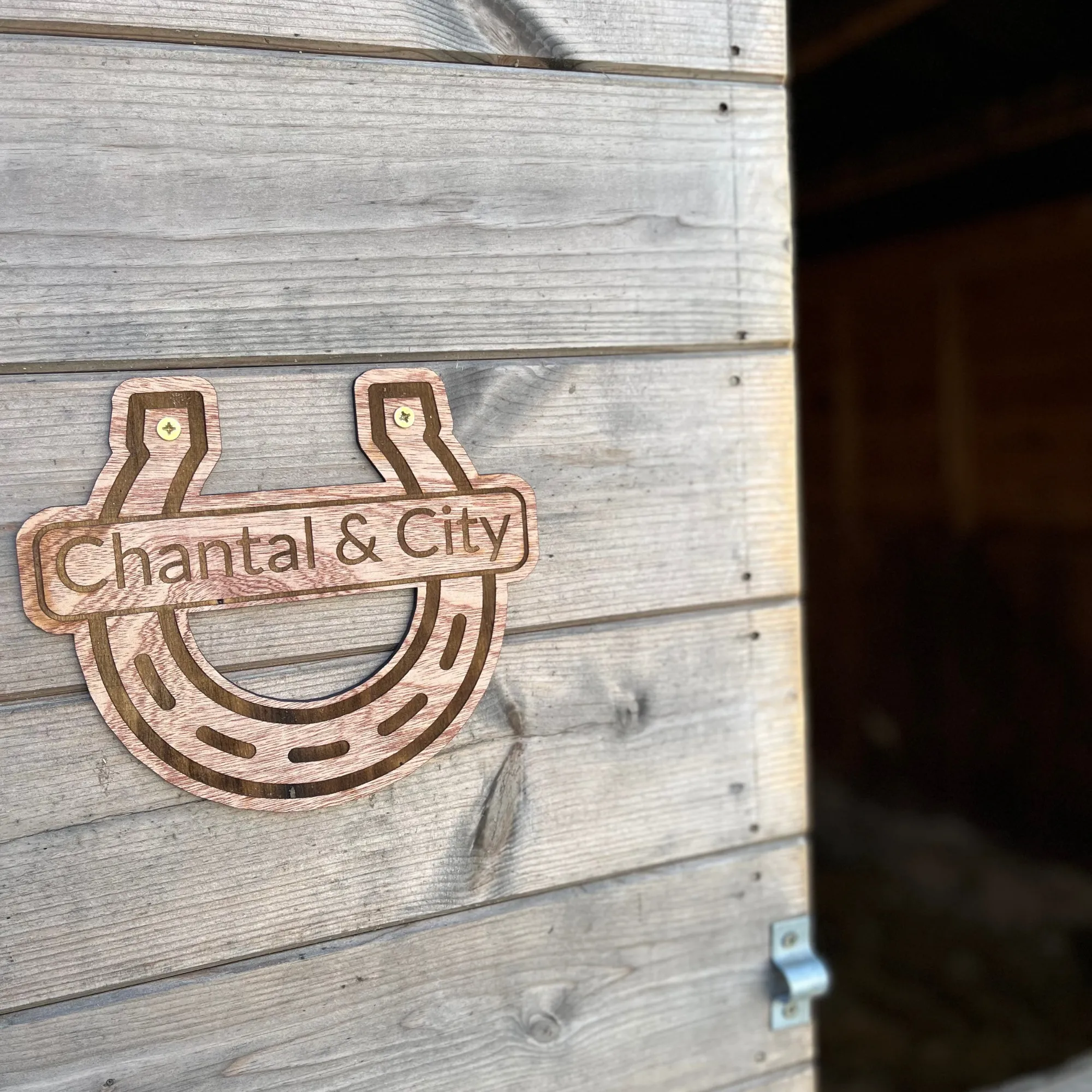 Personalised Wood Horse Shoe & Name Plate