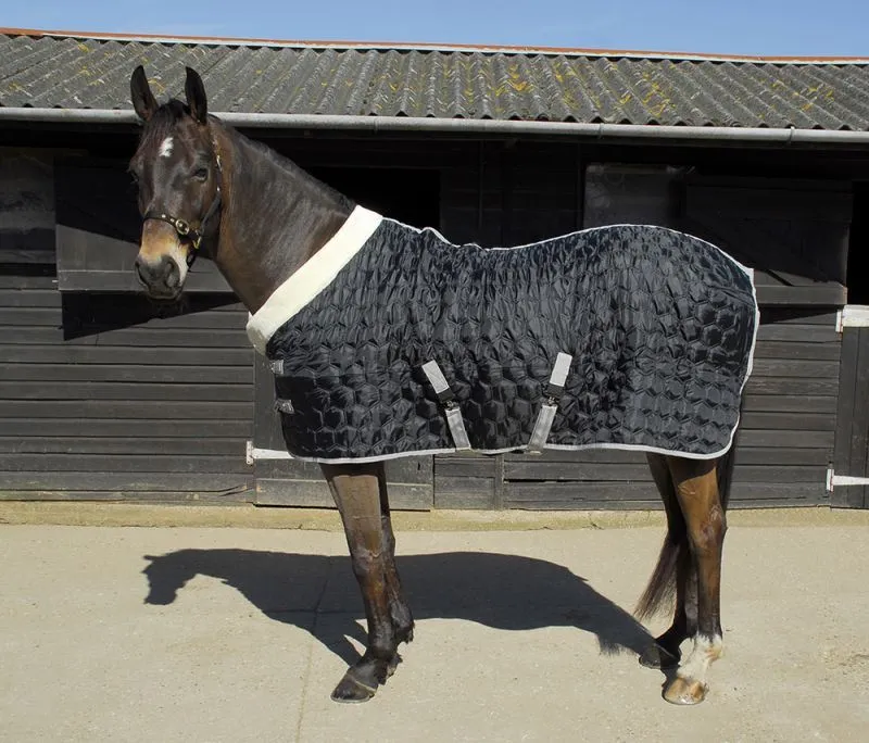 Rhinegold Detroit Hexagon Stable Quilt