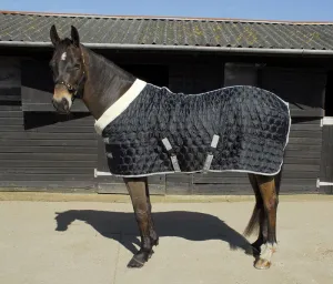 Rhinegold Detroit Hexagon Stable Quilt
