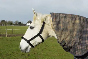 Rhinegold Field Safe Headcollar
