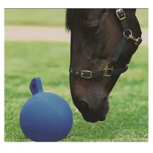 Roma Horse Play Ball