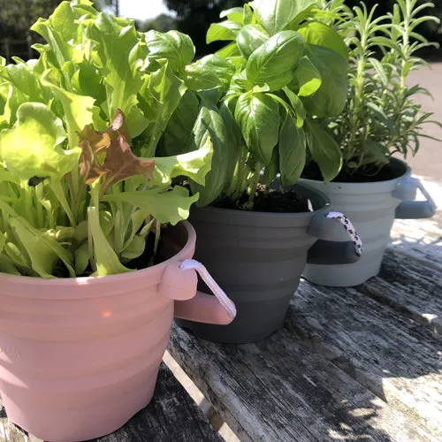 Scrunch Seedling Pot and Trowel Sage (Min. of 2, multiples of 2)