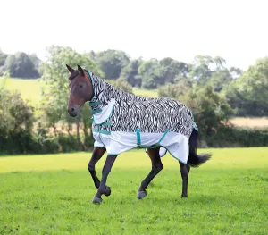 Shires Tempest Original  Zebra Fly Combo