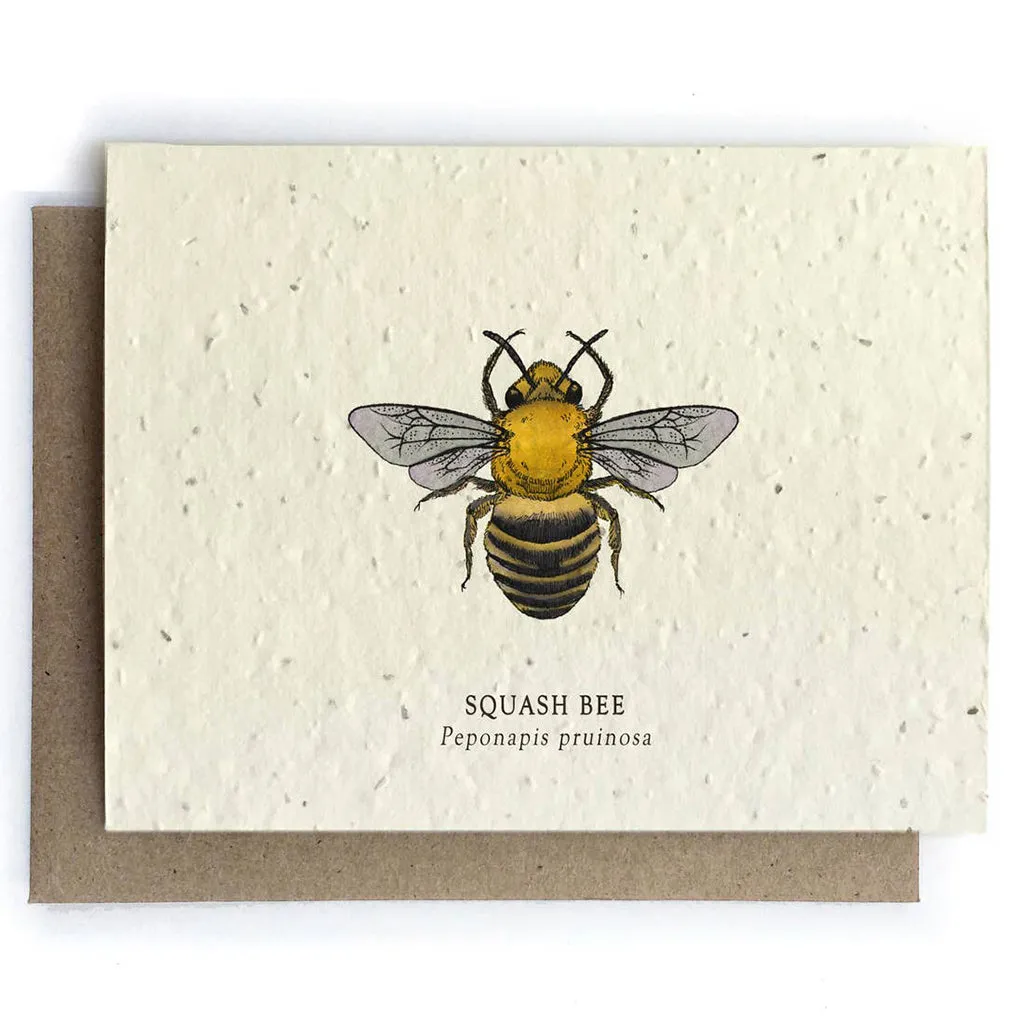 Squash Bee Plantable Seeded Card