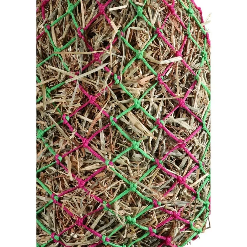 Vivid Slow Feed Poly Haynet (STB2308)