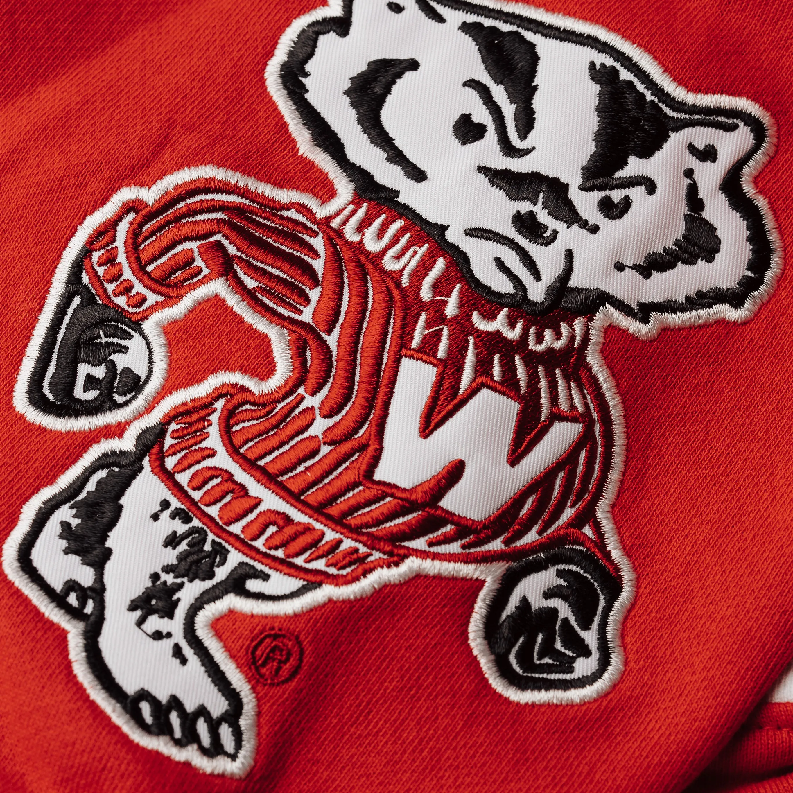Wisconsin Badgers Hockey Rinkside Hoodie
